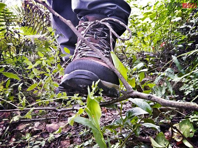 翻山越岭、淌水过河,全能应对!探路者高帮登山鞋测评