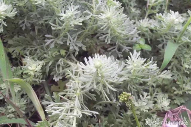 �������Σ������֮