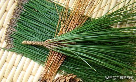 “牙疼不是病、疼起来要人命”不吃止疼药解决牙痛的实用偏方十例