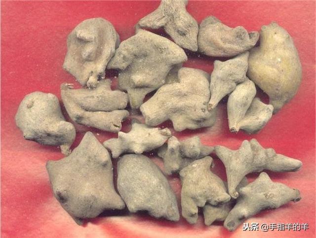 “牙疼不是病、疼起来要人命”不吃止疼药解决牙痛的实用偏方十例