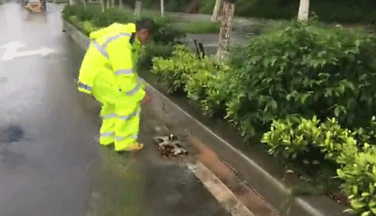 ����ͻϮ���ţ����ݼ�������ͣ�������������ڡ���������������ů