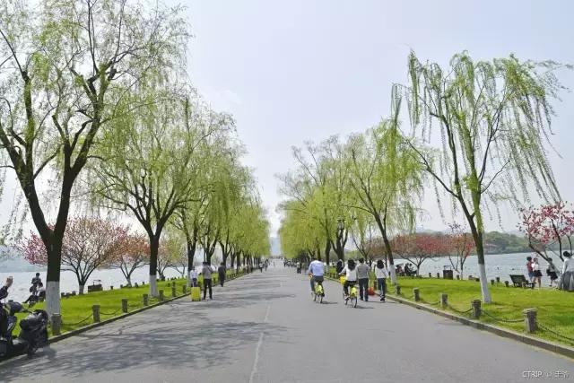 ������������棿��10�󾰵���Ӧ��֪����