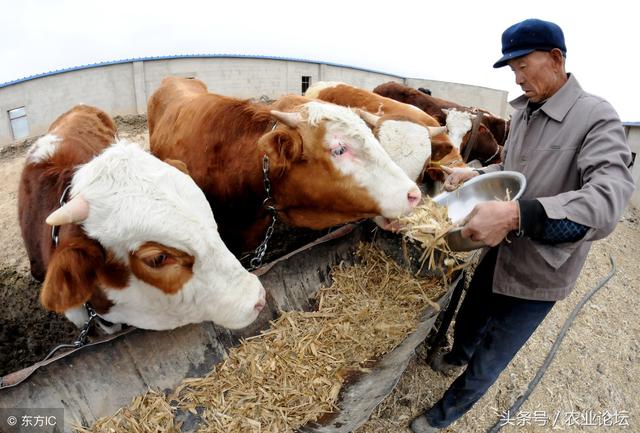 2019年养殖推荐:9种适合年轻人的养殖项目,4类遭拆除的养殖场