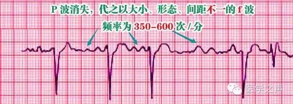 ��ô���㿴�ĵ�ͼ������ʲô���ɿ�������