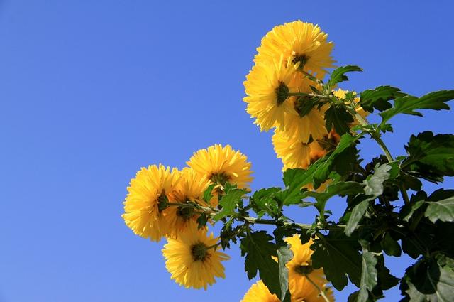 �����ڵ�������ϰ�ף����˽���
