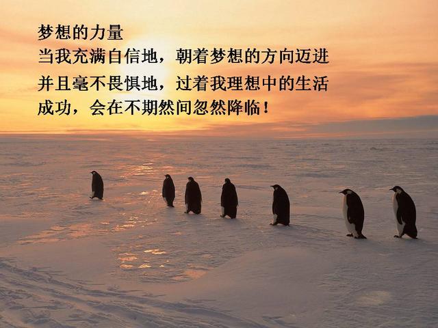 开始创业,小本生意做什么好,捞钱最快的5个创业小项目