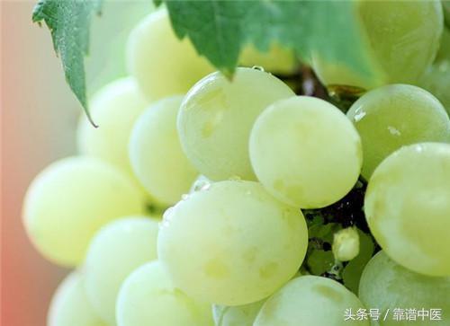 水晶提子的营养价值,提子和葡萄哪个更营养