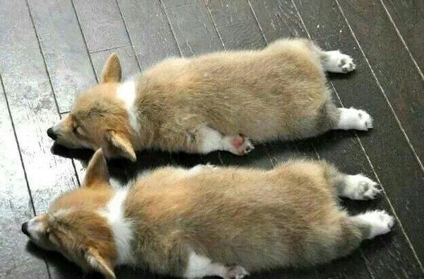 �̵�ʮ���Ц�Ĺ���ͼƬ
