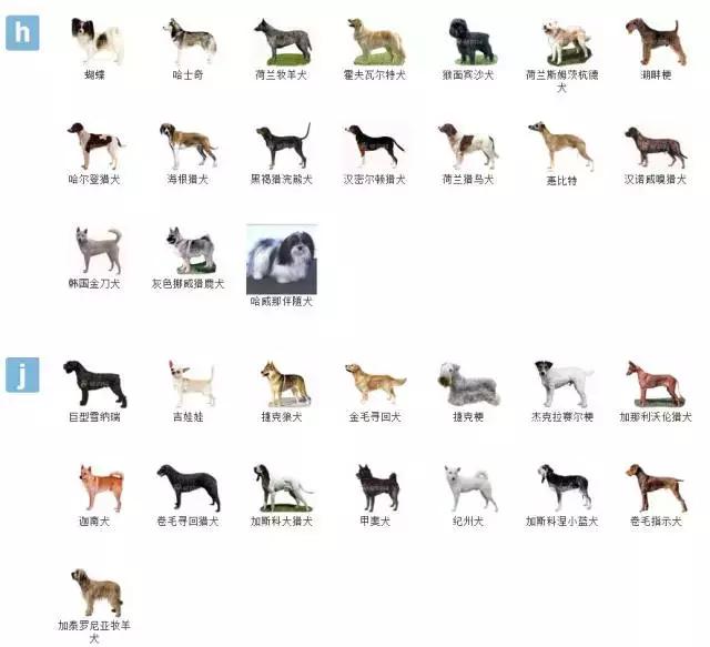 ����Ʒ�ִ�ȫ