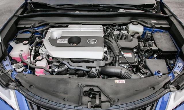 2019���ͺ���͵ĳ�������Щ����4���ռ��ͷ
