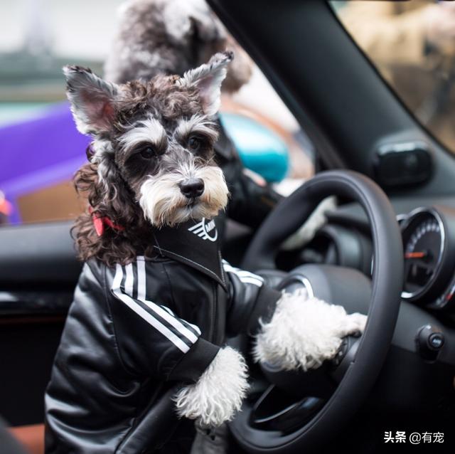 ����ѵȮ�Ļ���ԭ���������Թ������