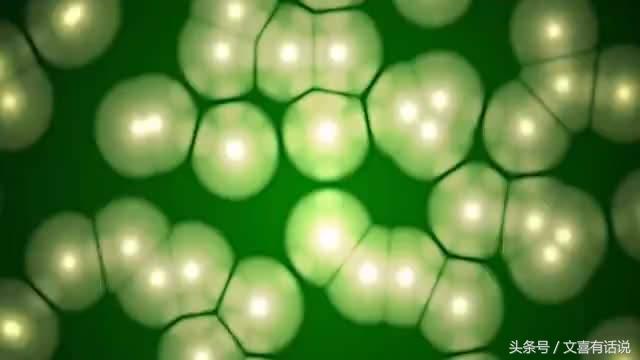 �����������˶�����仰��˭˵�ģ��䱾�⾹Ȼָ�Ĳ��������˶���