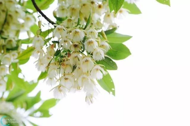 ��ְԺҪ��ȫ�������ˣ�