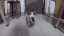 ��ְԺҪ��ȫ�������ˣ�