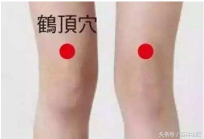 �ι޵ĺô��ͻ����㶼֪��������4�������İι����У�