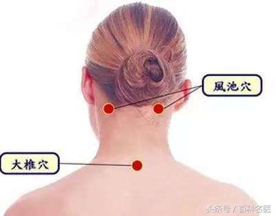 �ι޵ĺô��ͻ����㶼֪��������4�������İι����У�