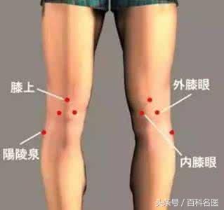 �ι޵ĺô��ͻ����㶼֪��������4�������İι����У�