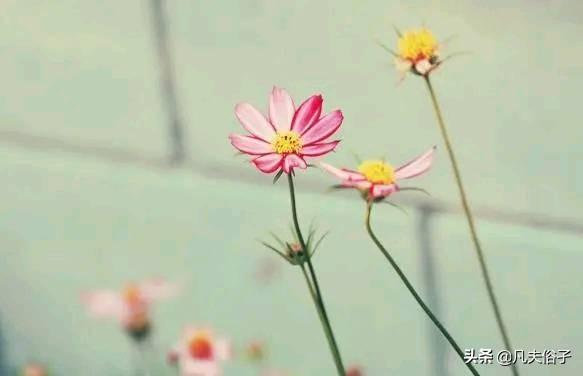 ֪����������ʲô����