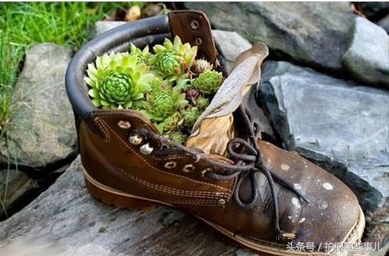 脚臭是一种病?教你5个小秘诀,让你轻松摆脱臭脚丫