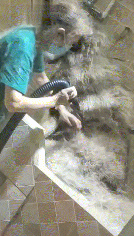 Ϊʲôϴһֻ����Ҫ��ô�󣬳����Ա����������ϴһֻ������֪��