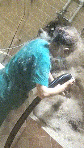 Ϊʲôϴһֻ����Ҫ��ô�󣬳����Ա����������ϴһֻ������֪��