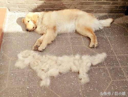 Ϊʲôϴһֻ����Ҫ��ô�󣬳����Ա����������ϴһֻ������֪��