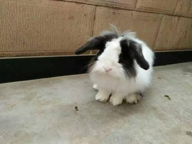 ������ǰҪ֪������Щ������궼��Ը��˵��