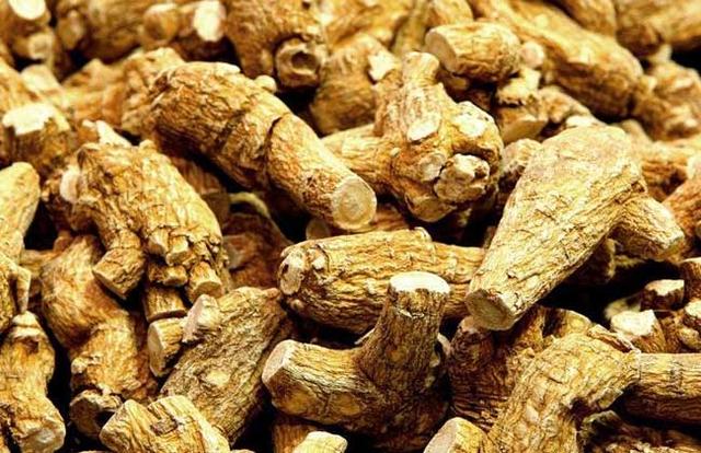 花旗参泡水喝的功效及禁忌 花旗参泡水喝的方法