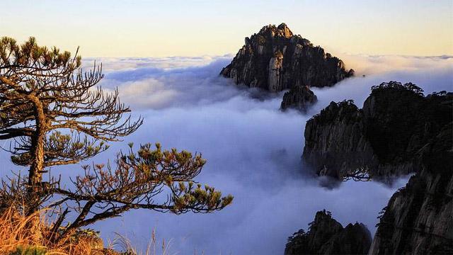 黄山四绝之一的云海 到底有哪些魅力让人称奇
