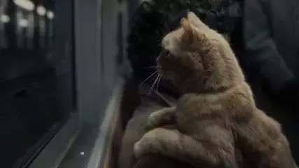 那些牛逼的咖啡馆,是这么选背景音乐的!