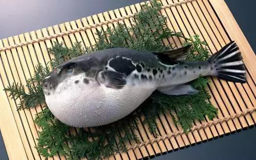 4种全球“名气最大”的食物,最贵的、最危险的、最臭的和最丑的