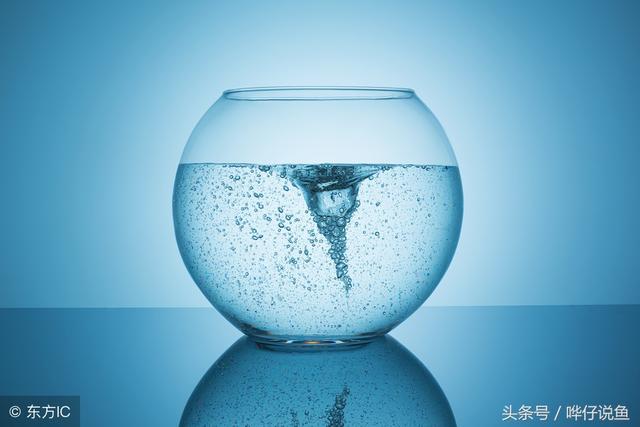 宠物鱼缺氧可咋办?当然不能靠人工呼吸,学会这几招可多活几年!