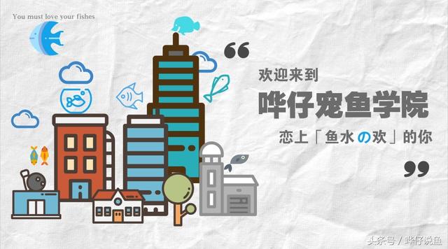 宠物鱼缺氧可咋办?当然不能靠人工呼吸,学会这几招可多活几年!