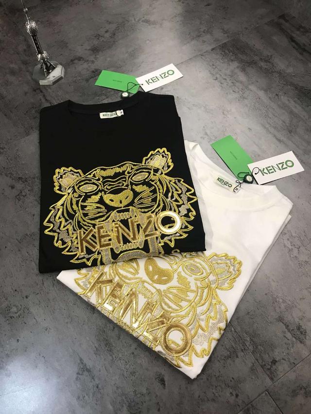 ���Դ����ڽ�����װ�ϵ�Ӧ�úͶԷ��γ������ƶ�