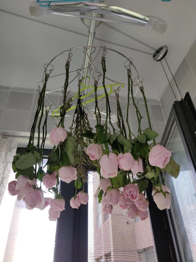 干花制作教程