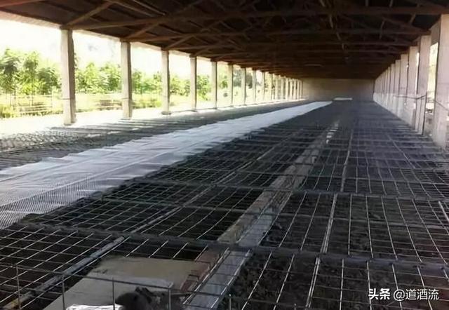 养鸭子有哪些新技术,经济效益怎样?如何挑选适合的鸭子品种