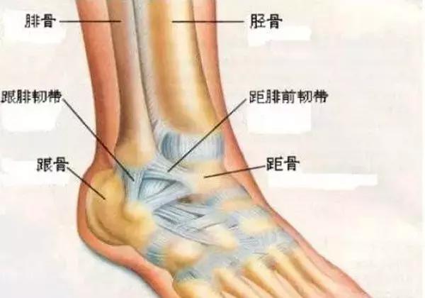 脚扭伤了怎么办?学学这些紧急处理办法将伤害降到最低