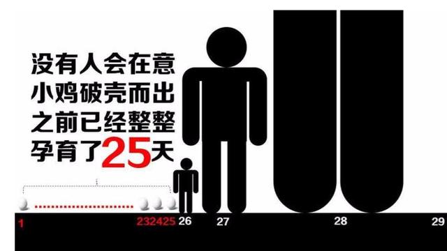������ʲô����Ǯ�����̰��-�����̵�2018��׬Ǯ��Ŀ