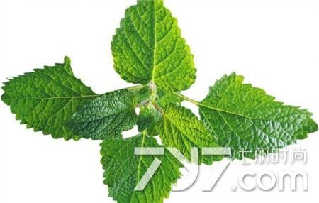 胃病不能吃什么食物 吃这7种食物会加重病情