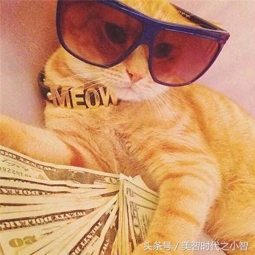 ��Ҷ��������ҵ���ְ�����ģ�������Щ�������׵ļ�ְ��