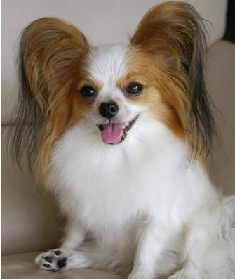 �̵�ʮ���Ц�Ĺ���ͼƬ