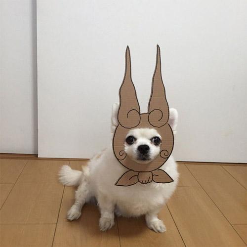 �̵�ʮ���Ц�Ĺ���ͼƬ