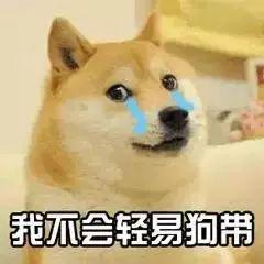 ���決���ա���������ͺ�ֲ�������ʲô����