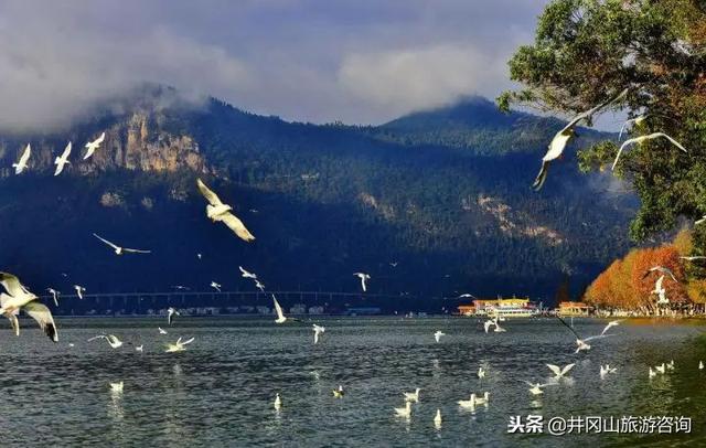 冬天最适合旅行的7个好地方,你最想去哪里?