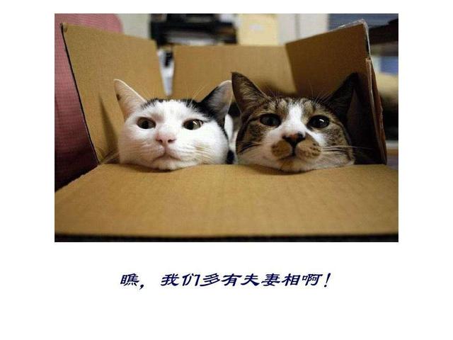 ʲô�����̣���֪�����̰�����Щ�����������