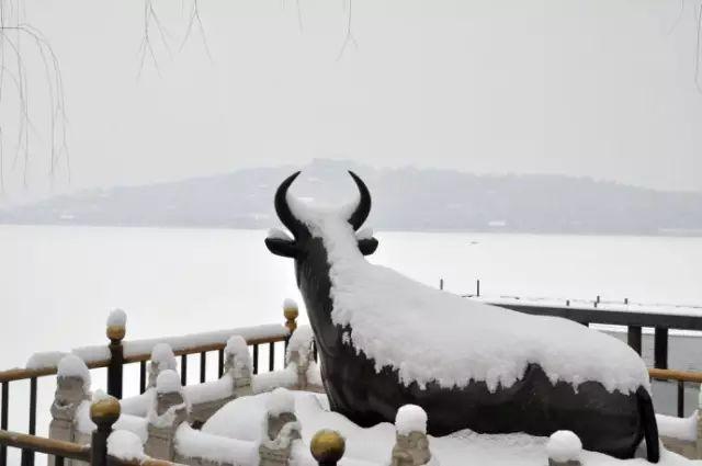 �������ڽ����붬������һ��ѩ�� ����´�ѩ������һ����������