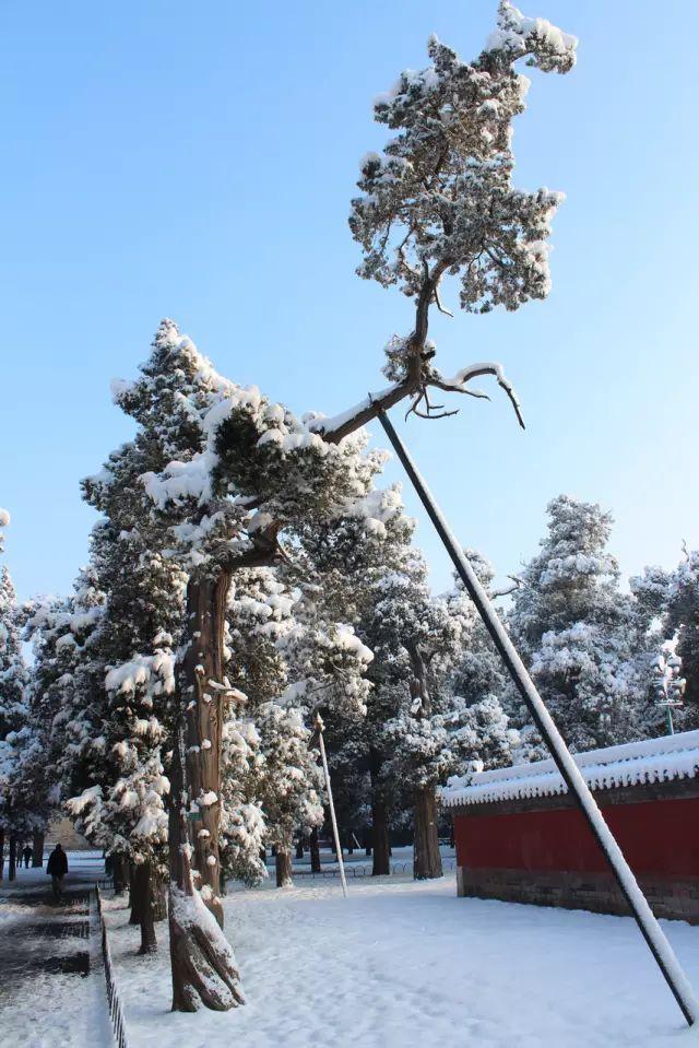 �������ڽ����붬������һ��ѩ�� ����´�ѩ������һ����������