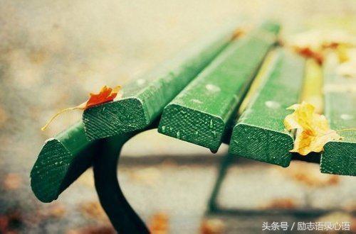 8�侫�ԣ���Ȧ�ɵ�