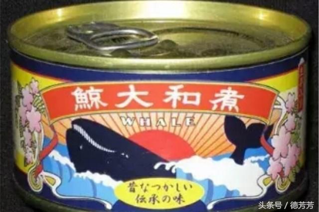 鲸鱼肉到底有多好吃?为什么冒天下之大不违也要捕杀