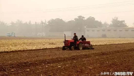 2018小麦什么时候播种,怎么播种,注意事项(含小麦播种时间表)